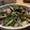 ゆり☆お料理記録☆'s cooksnap of when they made レンチンで簡単！あさりの酒蒸し.