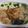 きらり流れ星's cooksnap of when they made 胡瓜の醤油漬け.
