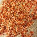 かのこはLOVE's cooksnap of when they made 香ばしい♪桜海老の佃煮❀.
