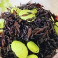 りーとぽん's cooksnap of when they made 砂糖と醤油の味付けのみ！簡単ひじき.
