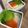 まっきー♪３７'s cooksnap of when they made いくらおろし お急ぎおつまみ.