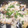 ぜんだいママ's cooksnap of when they made 厚揚げとなすのチーズ焼き.