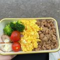 Hungry_'s cooksnap of when they made 【基本の肉そぼろ】肉そぼろ丼.