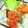 yuki★haru's cooksnap of when they made 鯛のソテー　トマトソース添え.