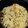 hina032307's cooksnap of when they made おせちの残りで炊き込みごはん.
