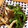 おとうふ★'s cooksnap of when they made きのことピーマンの塩昆布炒め.