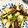 冷蔵庫レスキュー隊's cooksnap of when they made ニンニクの芽と椎茸のにんにく醤油炒め.