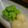 まぴこりん's cooksnap of when they made ＦＰで簡単♥♡枝豆ｄｅずんだ餅.