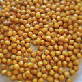 ル・レックちゅ's cooksnap of when they made ヘルシー！ローストビーンズ　ひよこ豆.