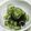 クック6DDPP8☆'s cooksnap of when they made ☆ｷｭｳﾘとﾜｶﾒの酢の物☆.