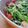 ガラクタコウカ。's cooksnap of when they made 豆苗と鮭のさっぱりサラダ.