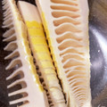 IHクッカー's cooksnap of when they made 和食の基本☆タケノコの下処理.