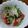 ramieru's cooksnap of when they made 新玉ねぎトマトほうれん草のナムル風サラダ.