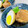 たけだちゃん's cooksnap of when they made 角煮 ［電気圧力鍋］簡単豚バラ大根.