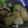 ニャ〜子♪'s cooksnap of when they made かぶと油揚げの煮びたし.