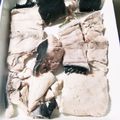 ねこのガストン's cooksnap of when they made シェフ直伝！ぶりの下処理ぶり大根などに！.