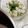 ｍａｃｏ's cooksnap of when they made たたきキュウリの寒麹漬け.