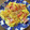 Unaken's cooksnap of when they made 和風＊トマトオムレツ＊.