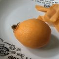 葉月優希's cooksnap of when they made びわのきれいなむき方.