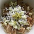 Ruriluru's cooksnap of when they made しらすわさび丼.
