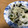 Sac’HiNa's cooksnap of when they made やみつき！新玉とわかめの中華風サラダ.
