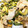 67luna's cooksnap of when they made 旨味たっぷり豚肉とゴーヤの白だし炒め.