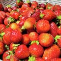 an0v0ko's cooksnap of when they made 苺のタルト （ジュレかけ）.