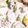 seacomet's cooksnap of when they made おつまみにも◎そら豆のクリームチーズ和え.