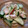 すがみほ's cooksnap of when they made 鶏肉ときゅうりの塩炒め.