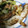 クックV3BPQZ☆'s cooksnap of when they made １０分で簡単♪白身魚のムニエル.