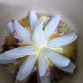 なっちゃん３１１'s cooksnap of when they made 簡単！新玉ねぎとベーコンのレンジ蒸し.