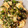 料理苦手ママさん's cooksnap of when they made おくらとサトイモのねばねば和え.