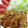 pfizer's cooksnap of when they made マヨネーズでまろやか＊豚キムチ炒め.