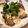 いやんのん＊'s cooksnap of when they made 簡単！なすとミンチの煮物.