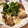 いやんのん＊'s cooksnap of when they made 簡単！なすとミンチの煮物.