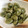 こずっきー's cooksnap of when they made 簡単焼くだけ＊トースタでそら豆の焼いたん.