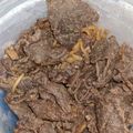 クック6ZK957☆'s cooksnap of when they made 猪肉のしぐれ煮.