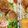 めぐまろろ's cooksnap of when they made レンコンの豚バラ巻き.
