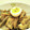イエローバード's cooksnap of when they made 黄金比和風タレで✿鶏ごぼう丼.