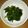 クックQM5U3Q☆'s cooksnap of when they made じゃこ大根のふりかけ（山本ゆりさん）.