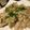 もえぴ–'s cooksnap of when they made 70円で簡単えのきのバター醤油.