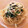 水玉ぱじゃま's cooksnap of when they made ほうれん草とベーコンの和風パスタ.