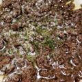 ☆とん吉☆'s cooksnap of when they made イタリア人の牛ひき肉レモン蒸し.