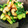 虎徹のママ's cooksnap of when they made 食欲そそる☆青梗菜と椎茸のバター醤油炒め.