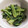 ☆milch☆'s cooksnap of when they made 練りごまを使った小松菜のごま和え.