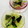 ルぴあ's cooksnap of when they made 節約副菜♡水菜と海苔和え.