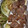 クック4T8KDN☆'s cooksnap of when they made 簡単スピーディー☆豚肉のもろみ焼き.