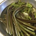 コムギ大好き's cooksnap of when they made 【重曹無しでもＯＫ♪】わらびのあく抜き.