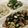 papikun's cooksnap of when they made ❁私達夫婦の新たまねぎの食べ方❁.
