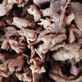 ＊elfin＊'s cooksnap of when they made 塩麹でやわらか豚もも/豚こまの生姜焼き.